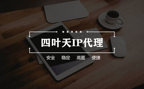 【钦州代理IP】如何快速搭建代理IP？怎么检查代理的效果？